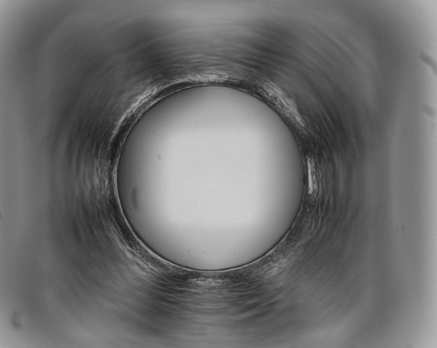 X0000098040300200804071448