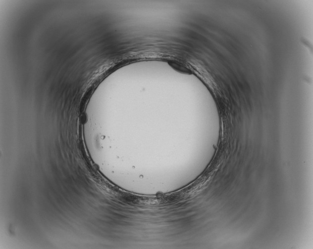 X0000098040301200804071448