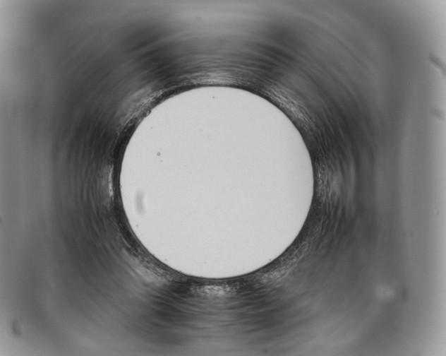X0000098040302200804071448