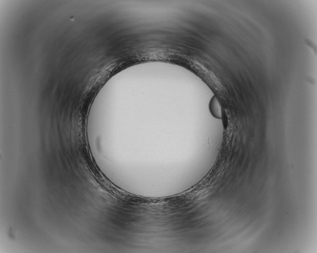 X0000098040306200804071448