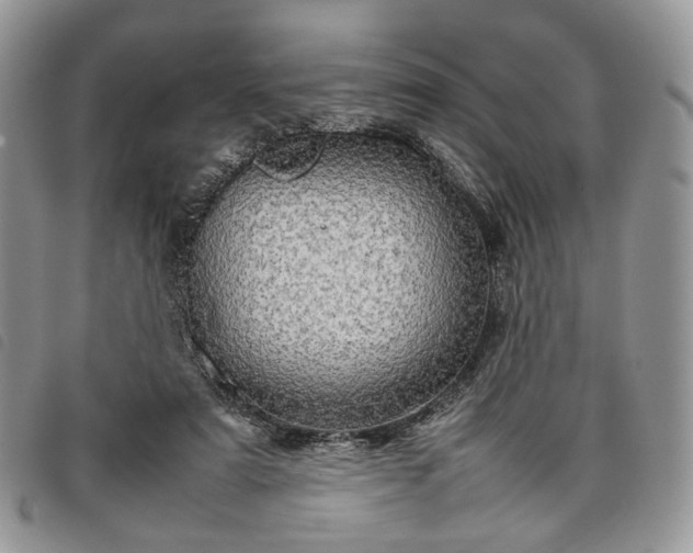 X0000098040307200804071448