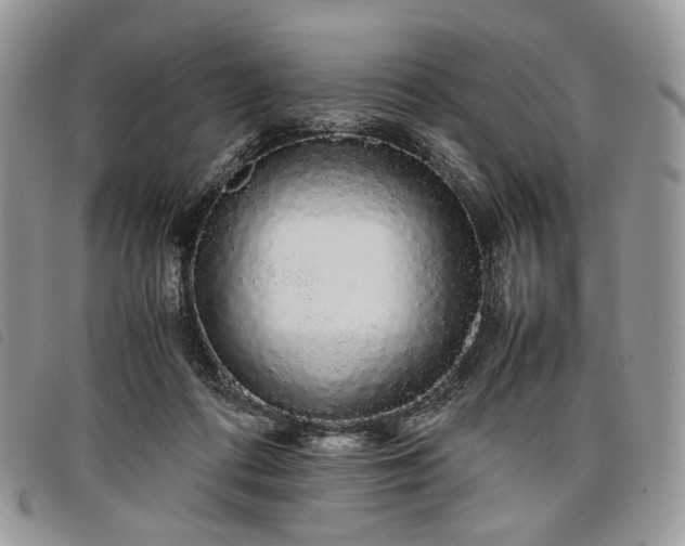 X0000098040312200804071448