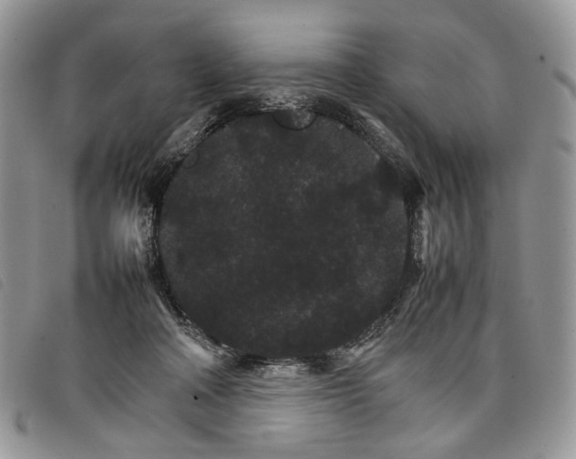 X0000098040314200804071448