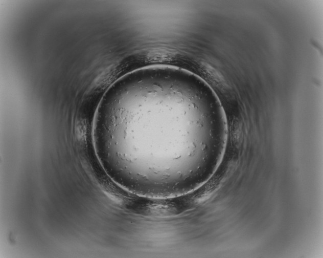 X0000098040315200804071448