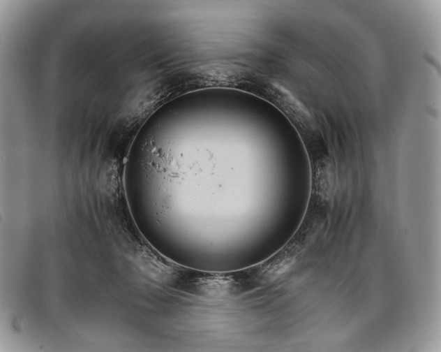 X0000098040318200804071448