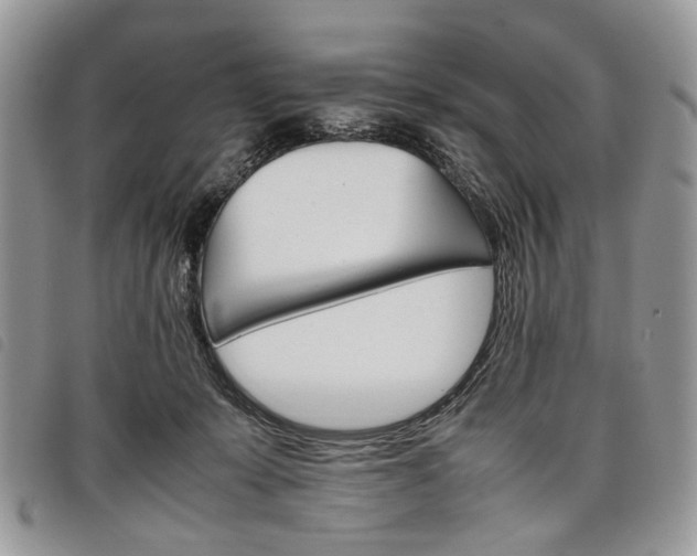 X0000098040319200804071448