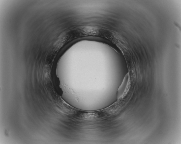 X0000098040320200804071448