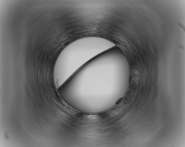 X0000098040324200804071448