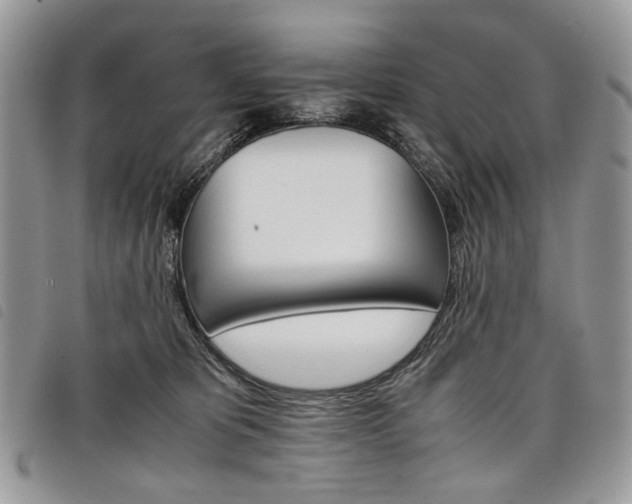 X0000098040325200804071448