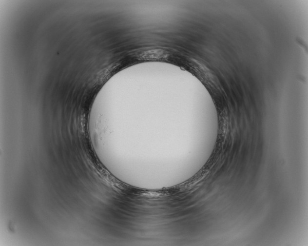 X0000098040326200804071448