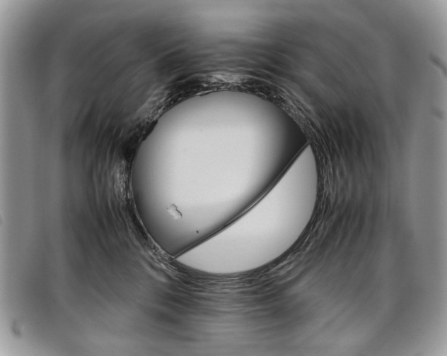 X0000098040328200804071448