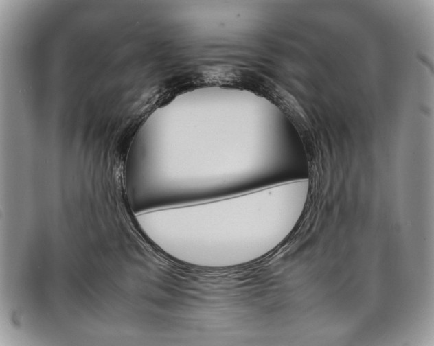 X0000098040329200804071448