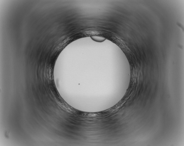 X0000098040330200804071448