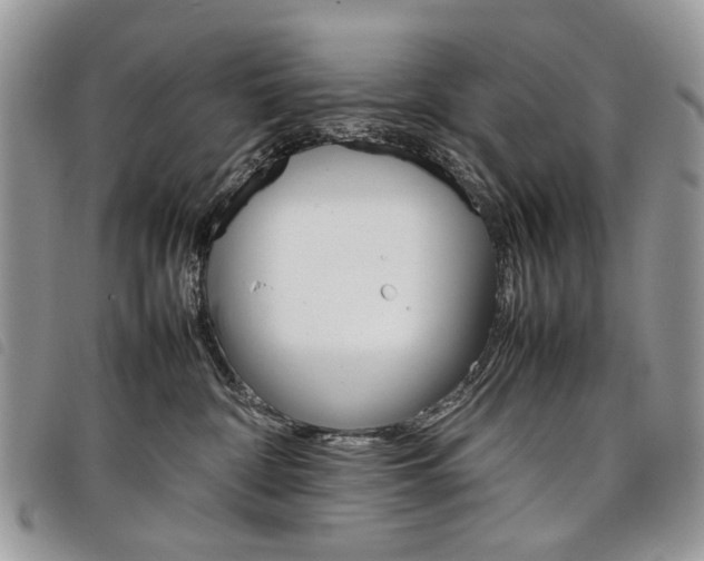 X0000098040332200804071448
