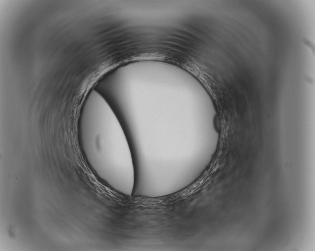 X0000098040337200804071447