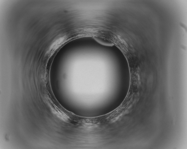 X0000098040338200804071447