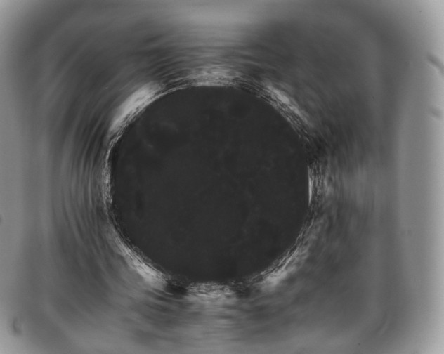 X0000098040339200804071447