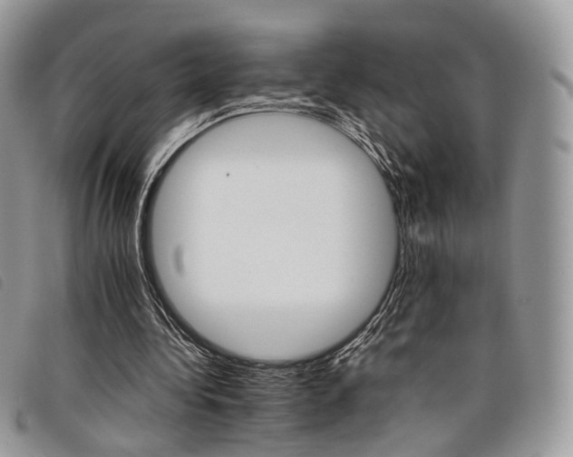 X0000098040340200804071447