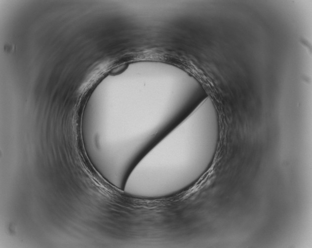X0000098040341200804071447