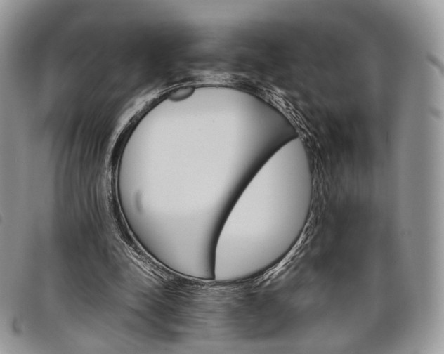 X0000098040342200804071447