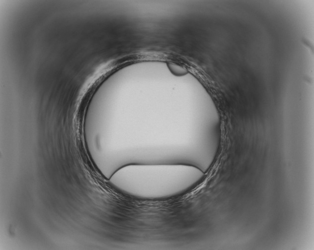 X0000098040343200804071447
