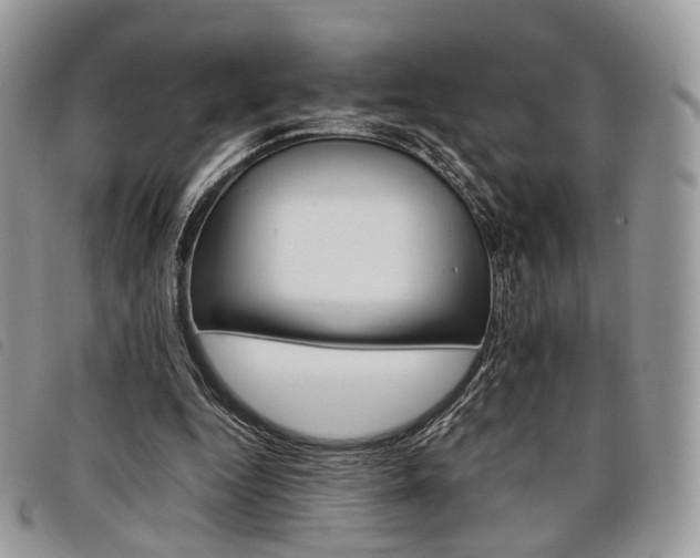 X0000098040344200804071447