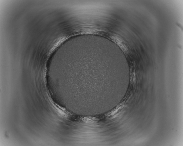 X0000098040346200804071447