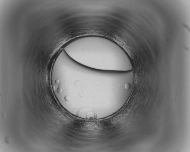 X0000098040347200804071447