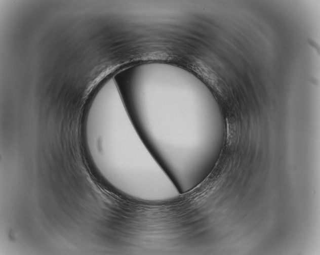 X0000098040348200804071447