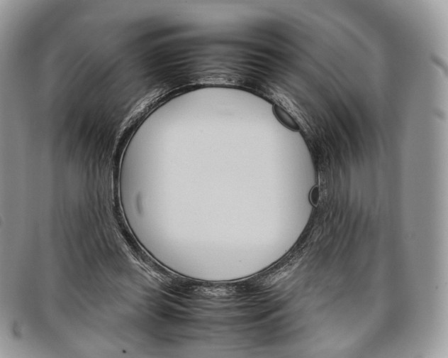 X0000098040349200804071447