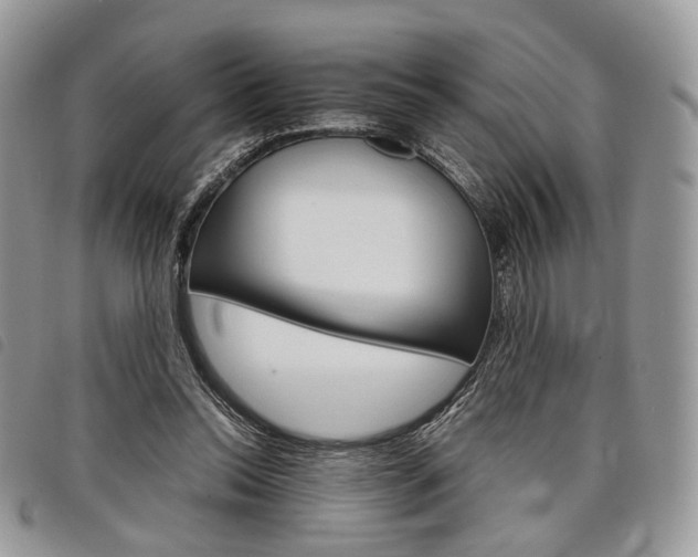 X0000098040350200804071447
