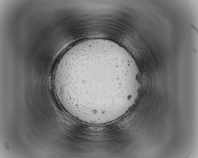X0000098040351200804071447