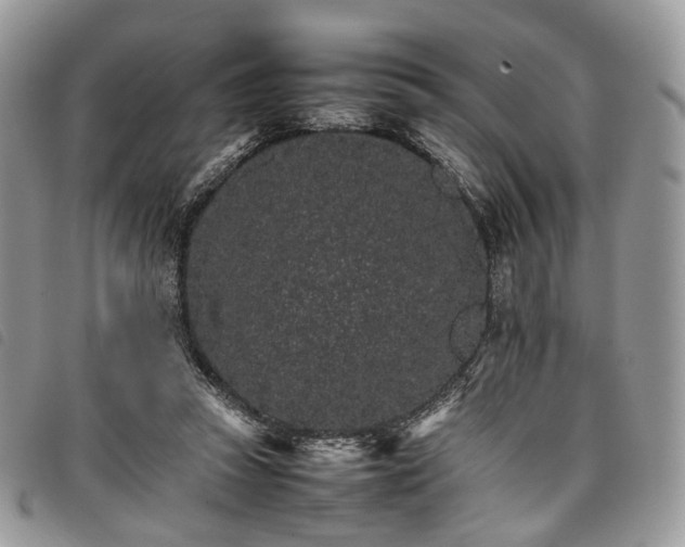 X0000098040353200804071447