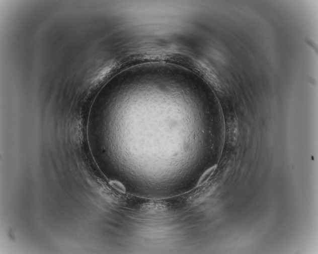 X0000098040354200804071447
