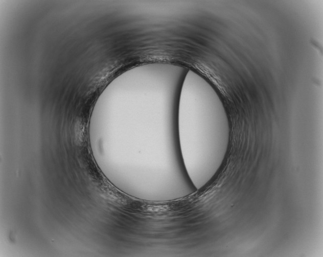 X0000098040355200804071447