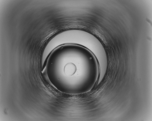 X0000098040356200804071447