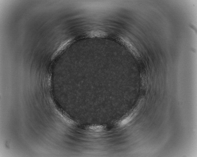 X0000098040357200804071447