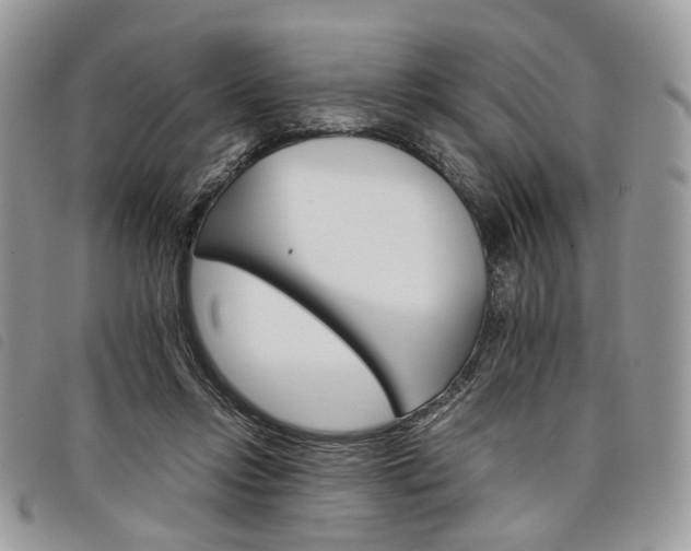 X0000098040358200804071447