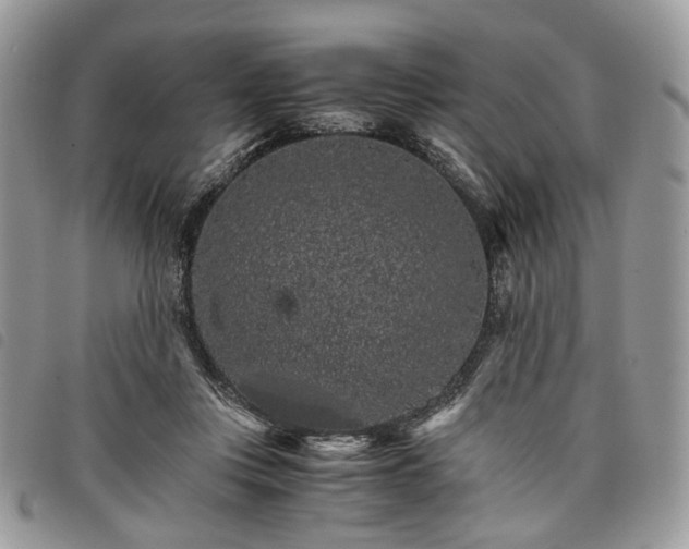 X0000098040359200804071447