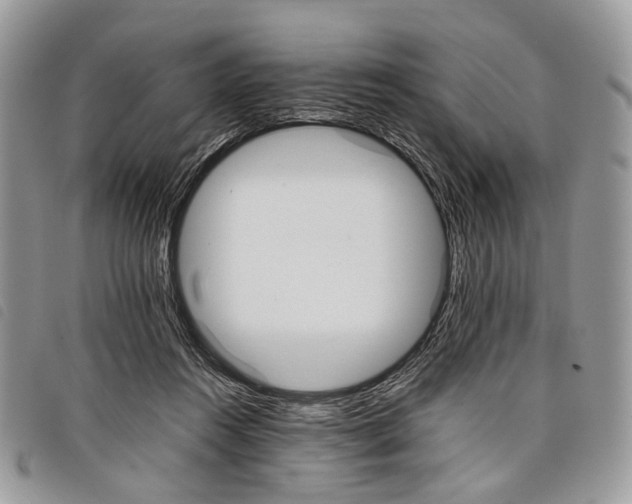 X0000098040360200804071447