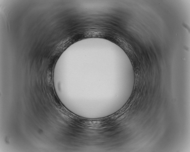 X0000098040361200804071447