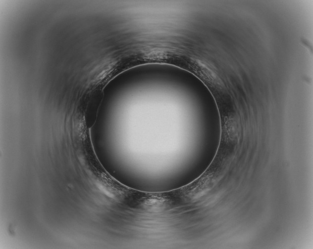 X0000098040364200804071447