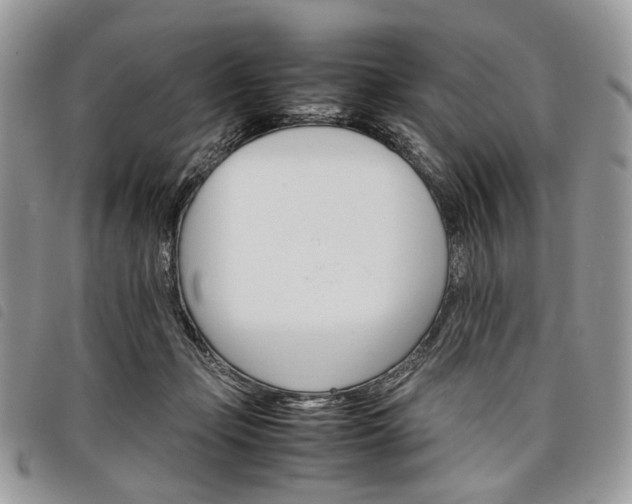 X0000098040365200804071447