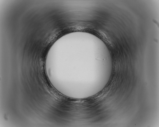 X0000098040366200804071447