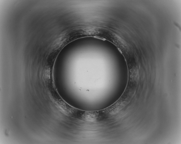 X0000098040368200804071447