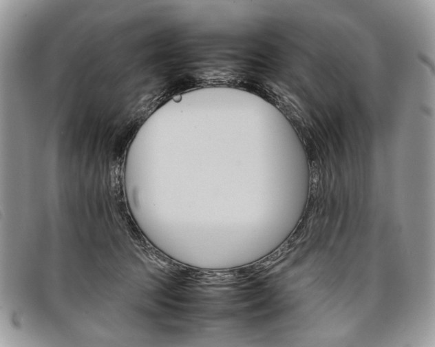 X0000098040369200804071447