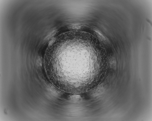 X0000098040374200804071447