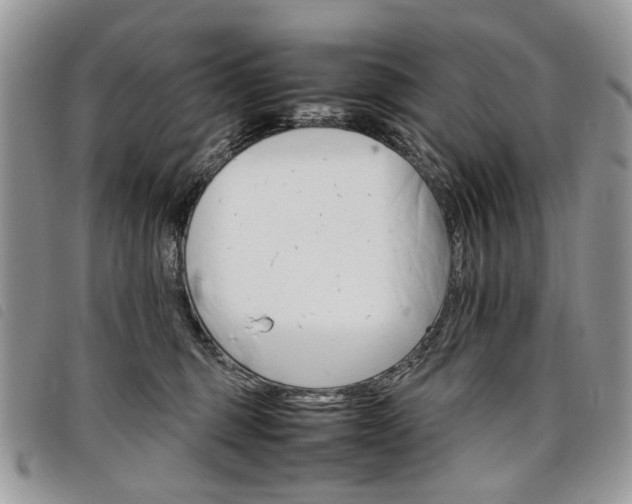 X0000098040375200804071447