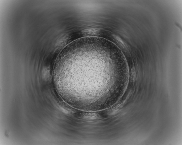 X0000098040377200804071447