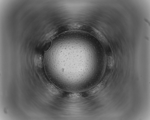 X0000098040378200804071447
